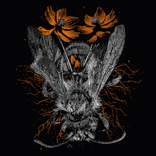 The Lumbar Endeavor : The Worker Bee​’​s Burden